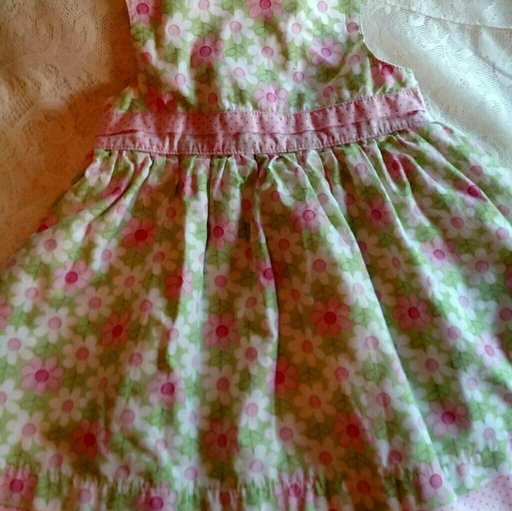 Carter's Girl's Pk/Gr Lined Cotton Sz 12 Mo Dress. - Picture 6 of 8