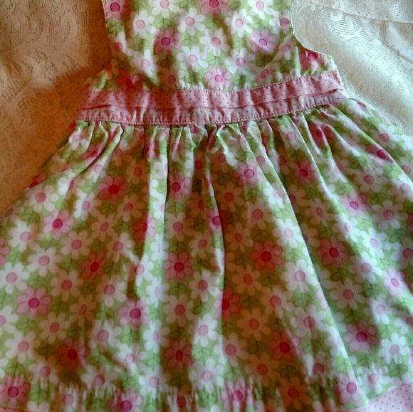 Carter's Girl's Pk/Gr Lined Cotton Sz 12 Mo Dress. - Picture 6 of 8