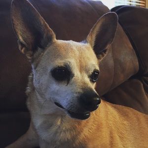 Meet your Posher, Cole