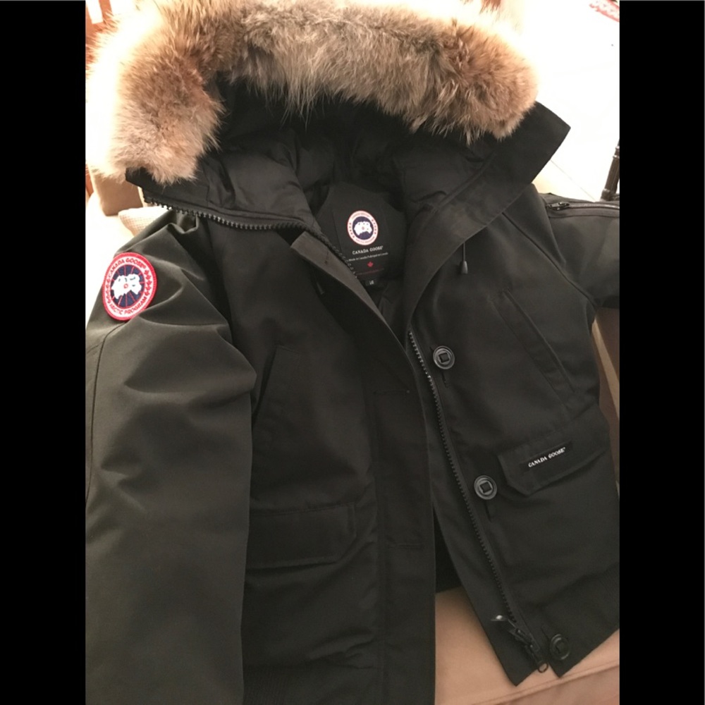 Canadian Goose Bomber,Never Worn, no tags