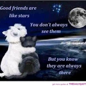 Meet your Posher, Corliss