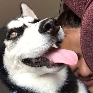 Meet your Posher, Audrey