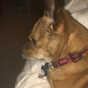 Meet your Posher, Laurie