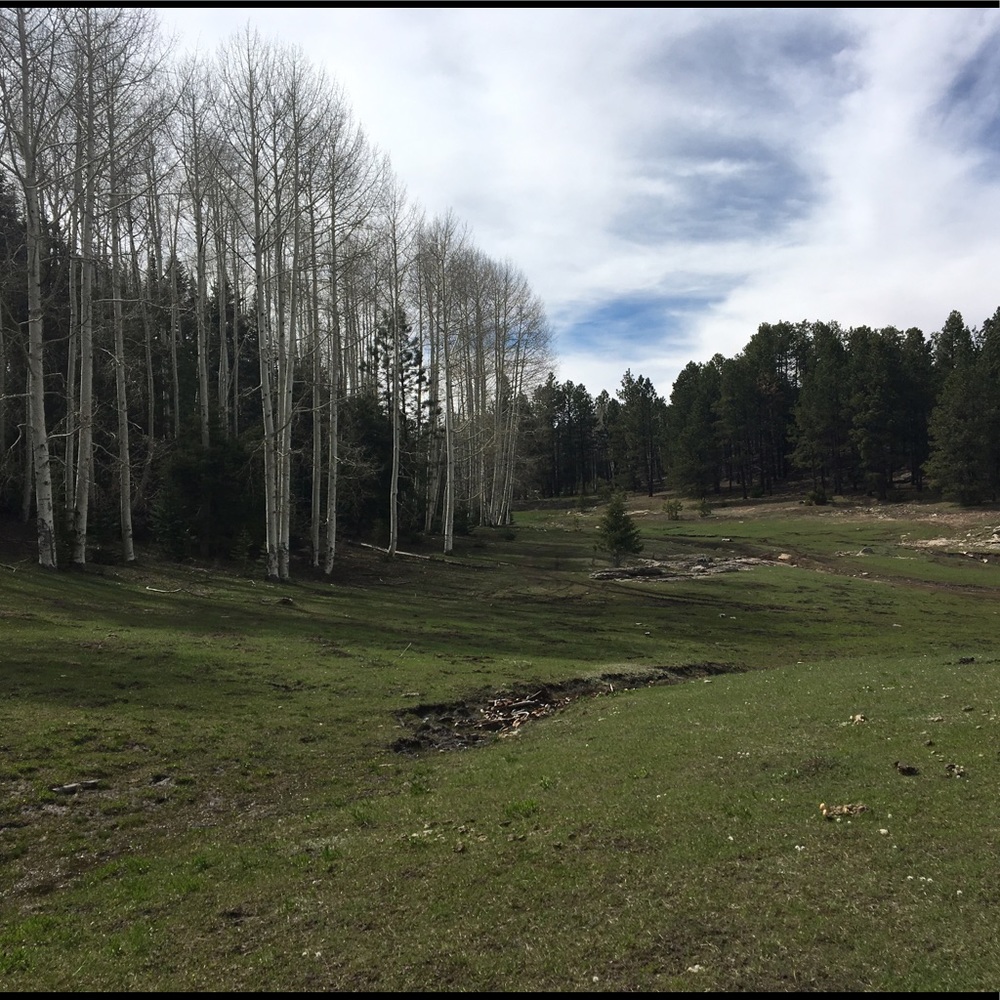 Meet your Posher, Jo