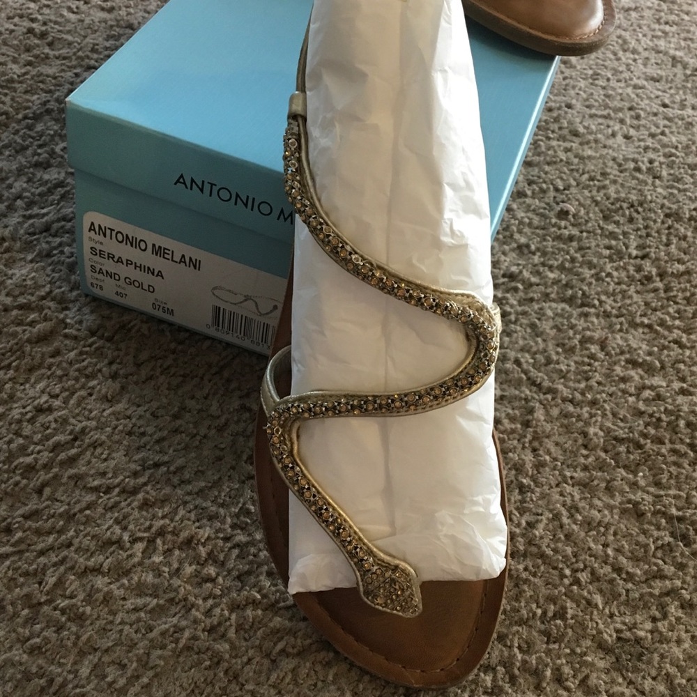 Antonio Melani Seraphina