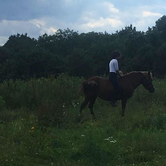 Meet your Posher, Emily - Picture 1 of 1