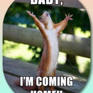 Meet your Posher, Shelly