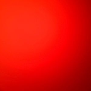 Meet your Posher, Bailey