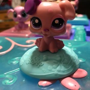 Bulldog littlest pet shop