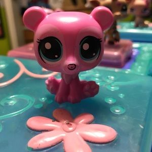 Pink Poole bear littlest pet shop