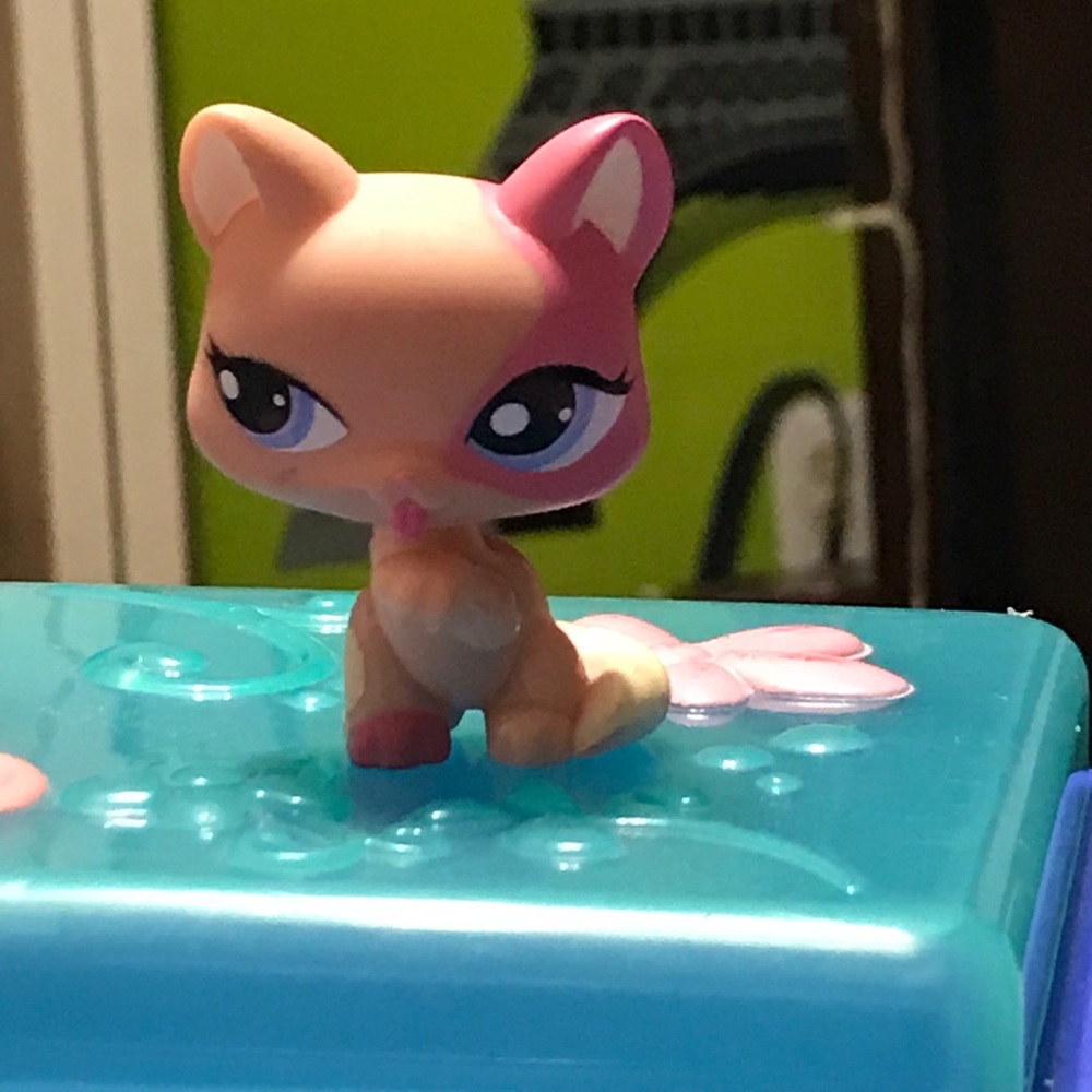 Pink Siamese cat