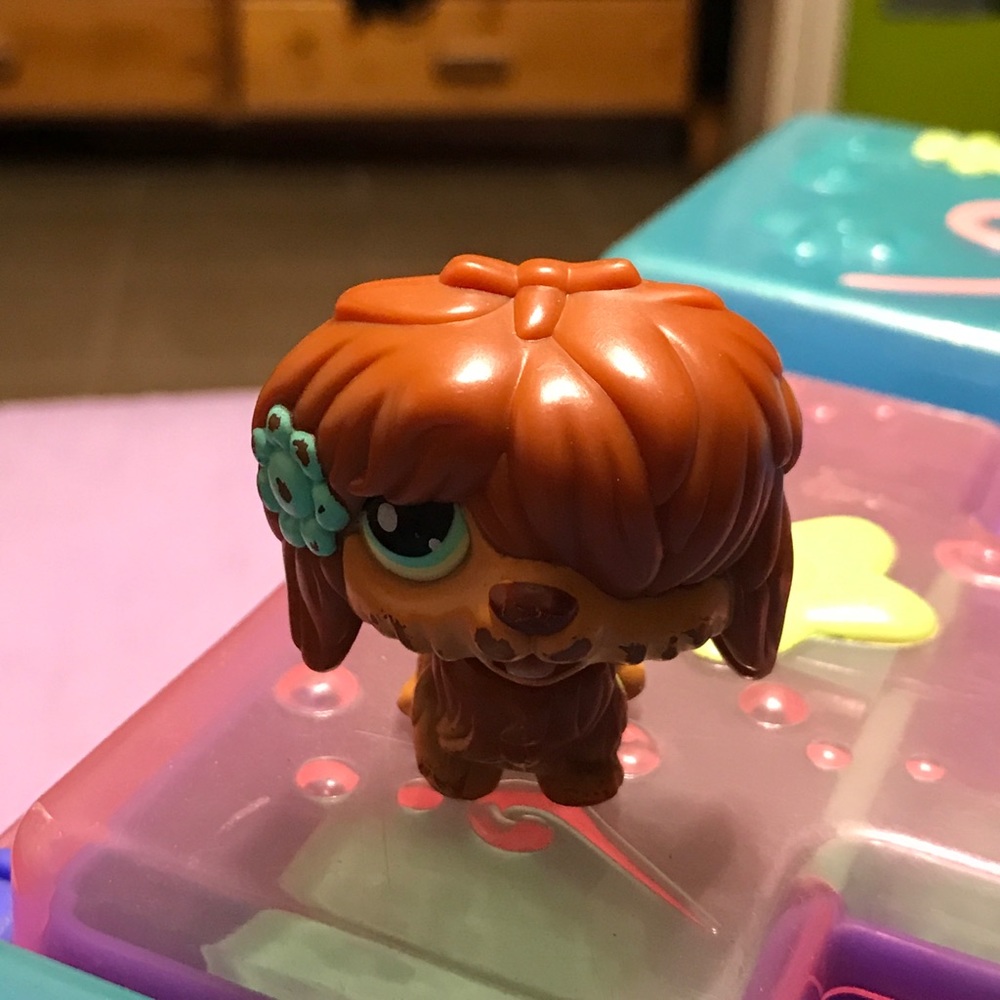 Shitzu lps