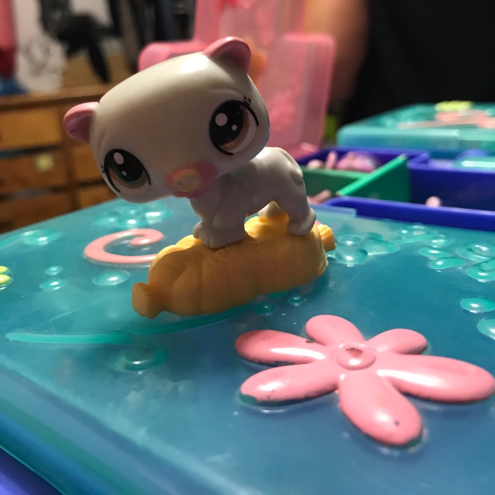Lps ferret