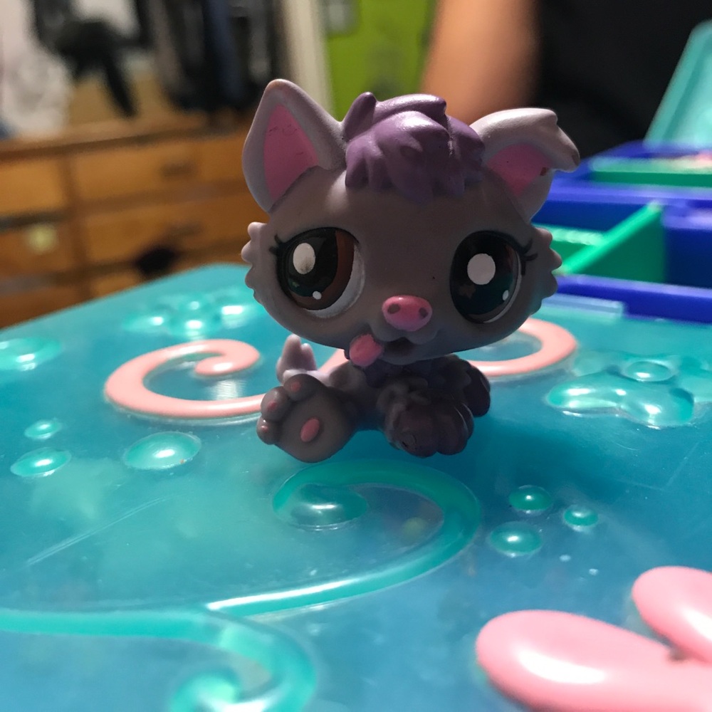 Purple lps dog
