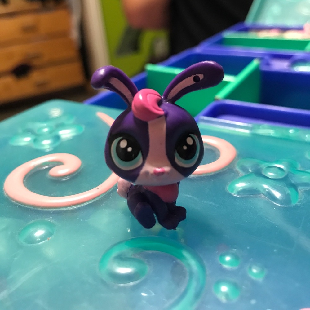 Purple lps rabbit