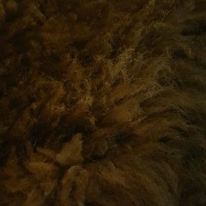 Meet your Posher, Janell