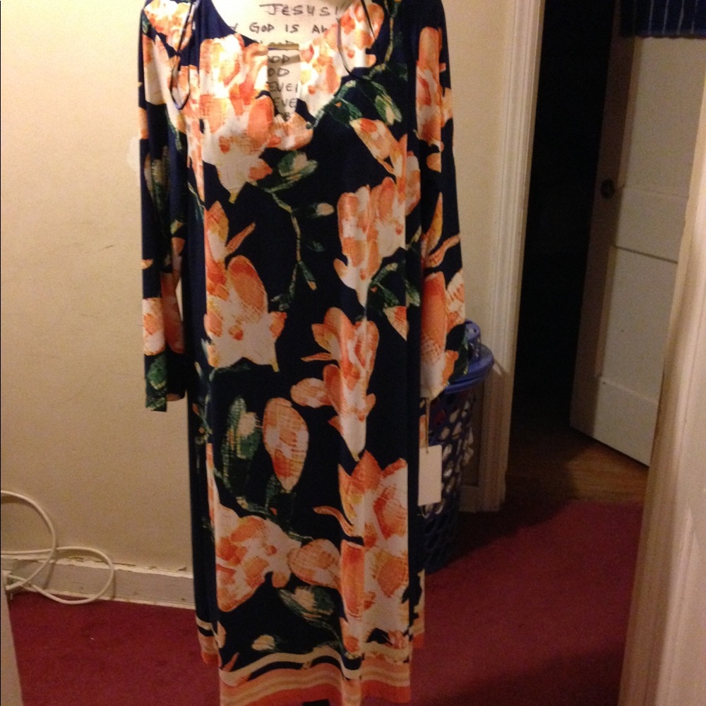 NWT Haani Woman Multicolored Dress; Long Sleeve$60