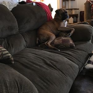 Meet your Posher, Dorothy