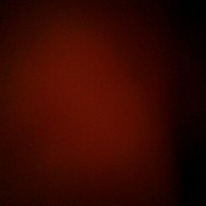 Meet your Posher, Rose