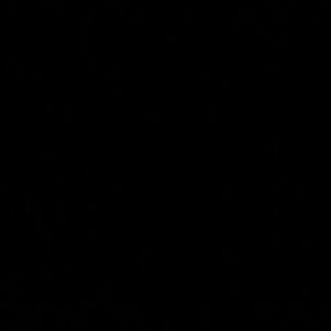 Meet your Posher, Anisa