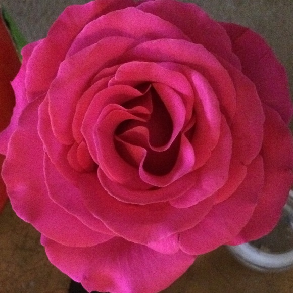 Meet your Posher, Christina - Picture 3 of 3