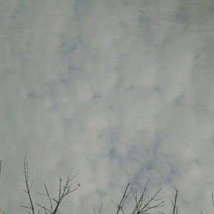 Meet your Posher, Destiny