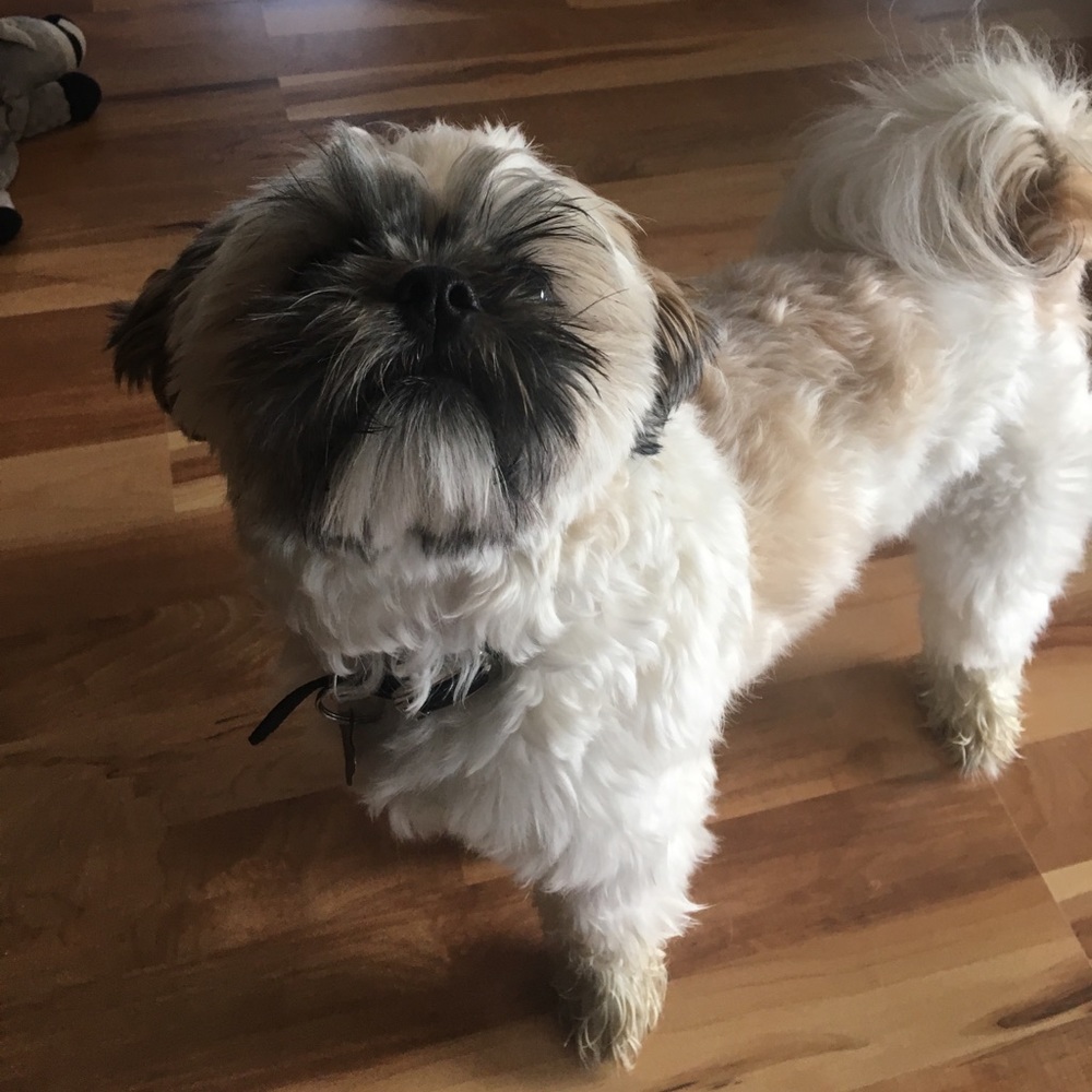 Meet your Posher, Madelyn