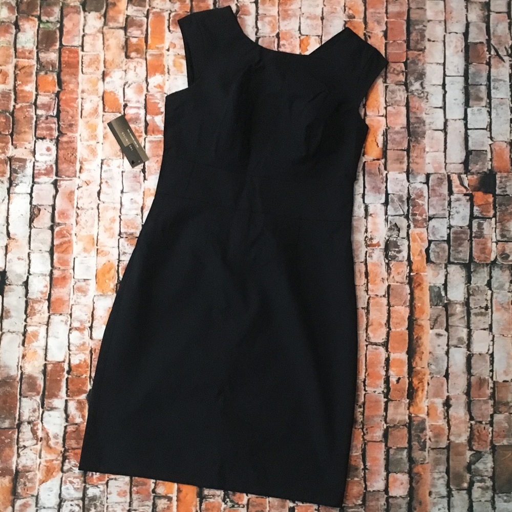 The Limited V-Neck Back Dress
