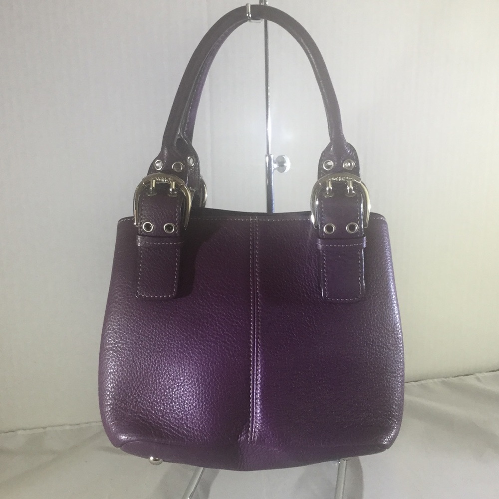 Tignanello French Tote