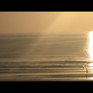 Meet your Posher, Penny