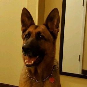 Meet your Posher, Renee