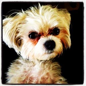 Meet your Posher, Geoffrey