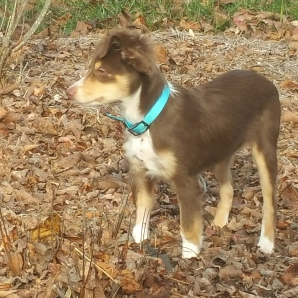 Meet your Posher, Jj