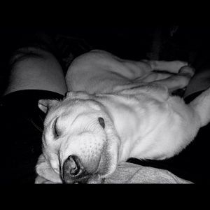 Meet your Posher, Kenny