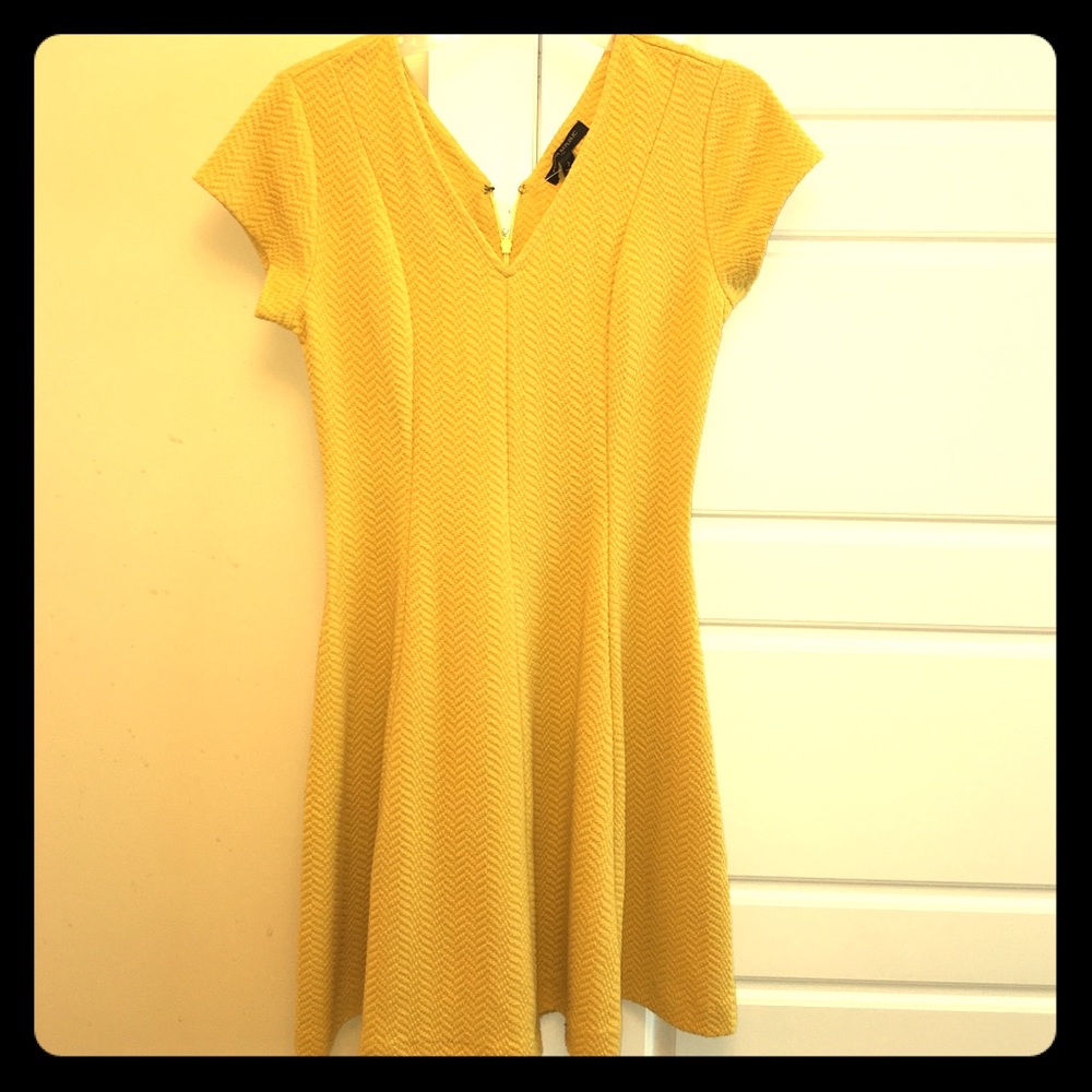 NWT Mustard Banana Republic Dress