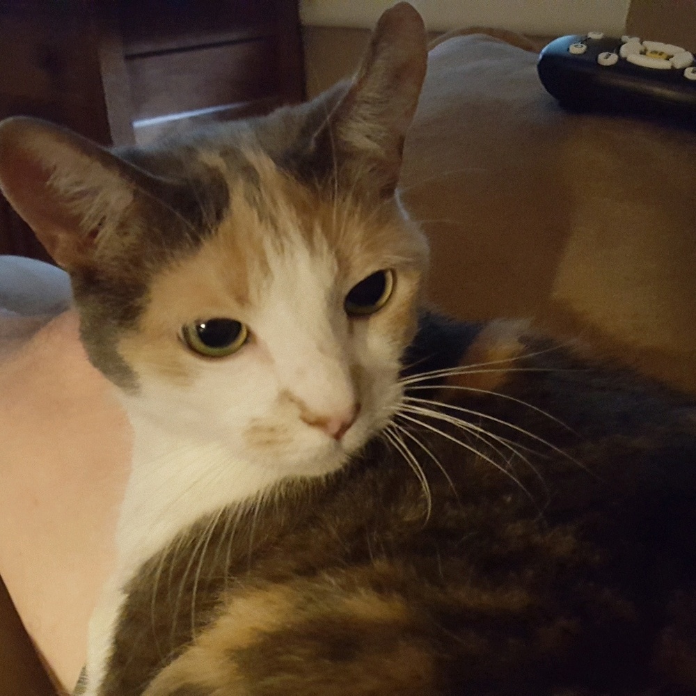Meet your Posher, Gwen