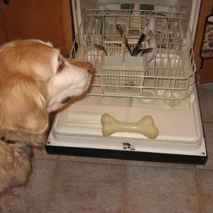 Meet your Posher, Judith