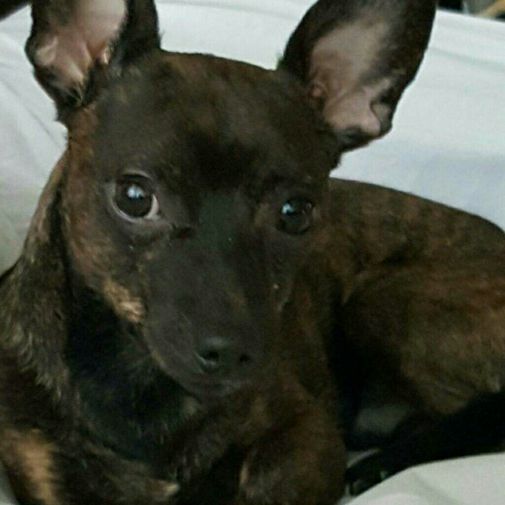 Meet your Posher, Cirie