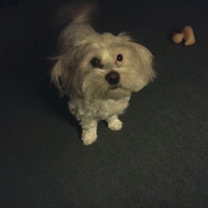 Meet your Posher, Dee