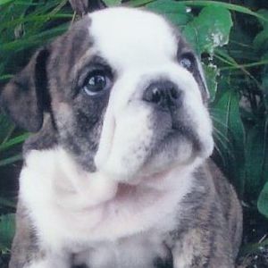 Meet your Posher, Jane