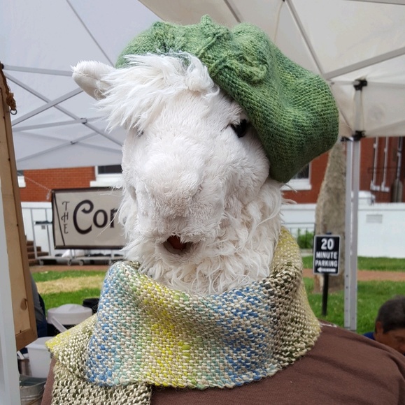 Meet your Posher, Louise - Picture 1 of 1