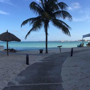 Meet your Posher, Regina