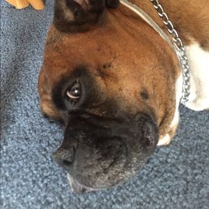 Meet your Posher, Diane