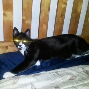 Meet your Posher, Kimberly