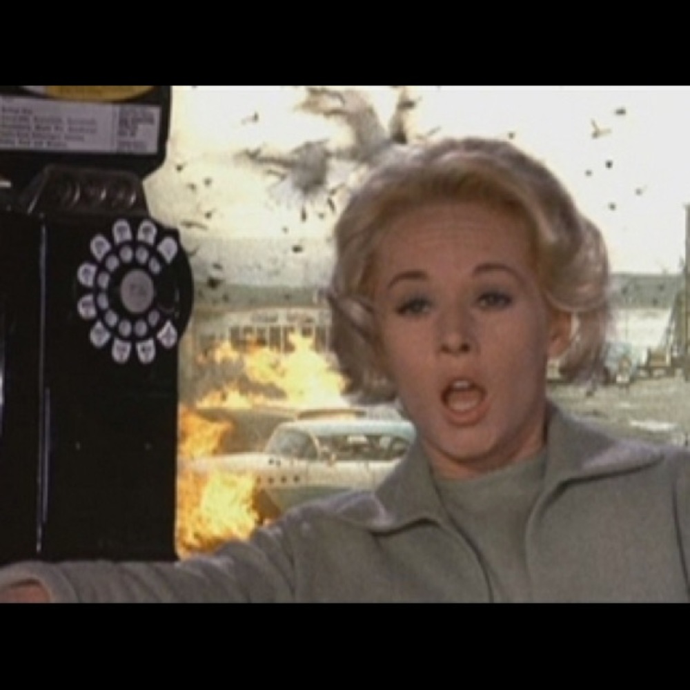 Meet your Posher, Celeste