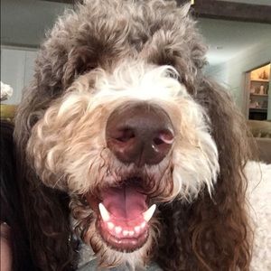 Meet your Posher, Sharon