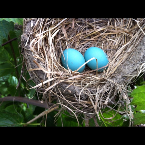 Meet your Posher, Gayle - Picture 1 of 1