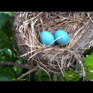 Meet your Posher, Gayle