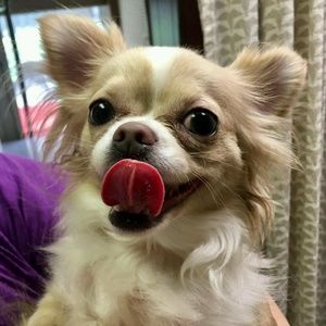 Meet your Posher, Mac