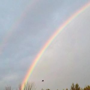 Meet your Posher, Patti